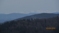 IMG_8332.jpg, 16kB